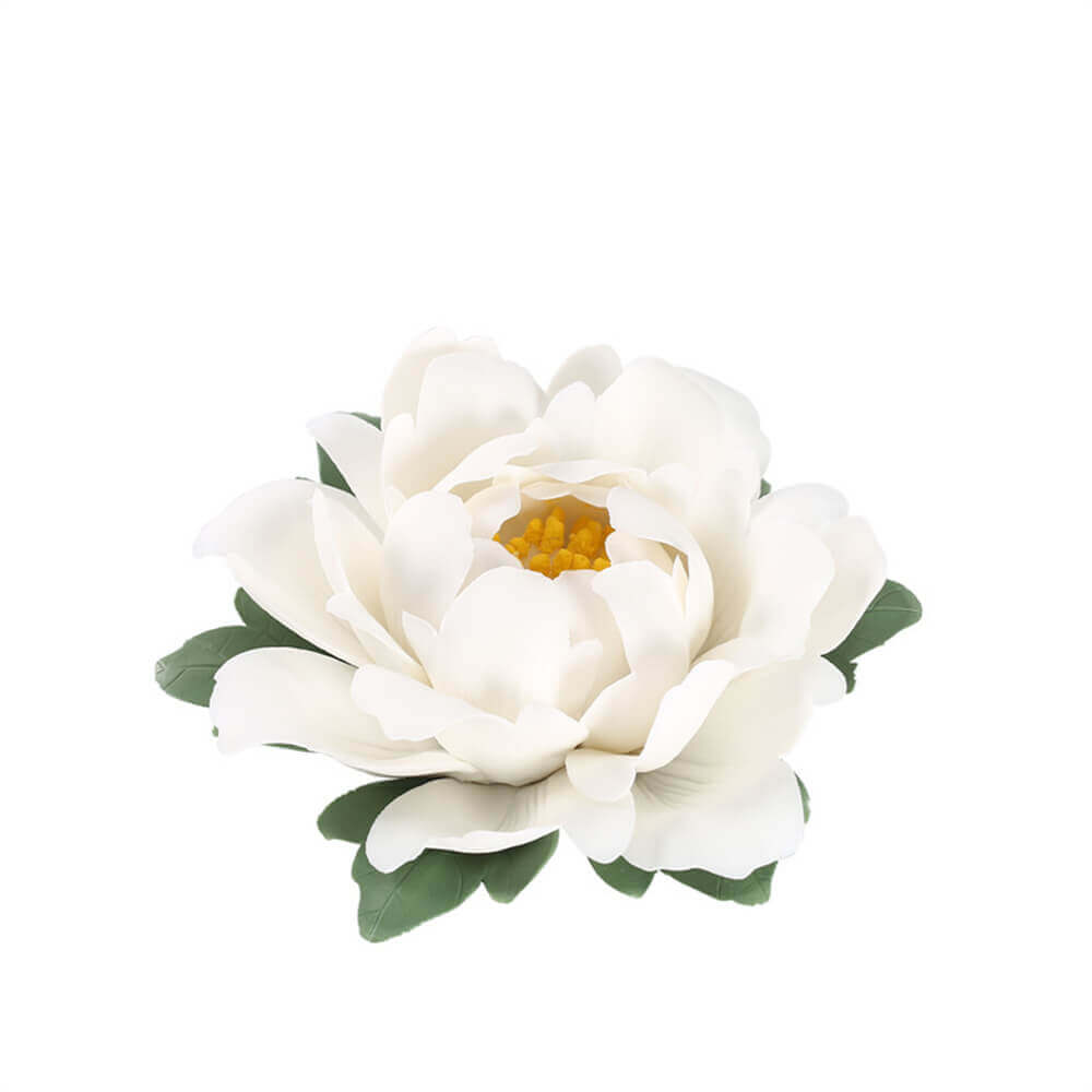 Rich Peony