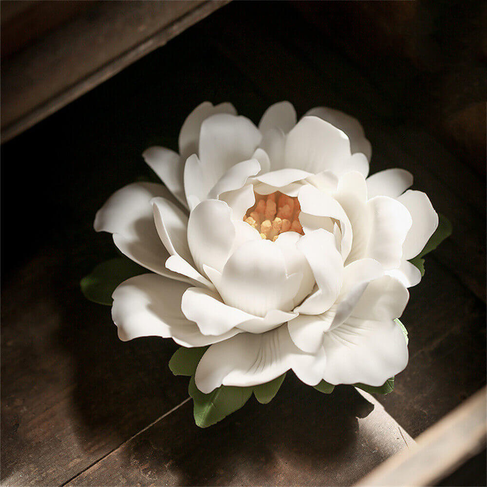 Rich Peony