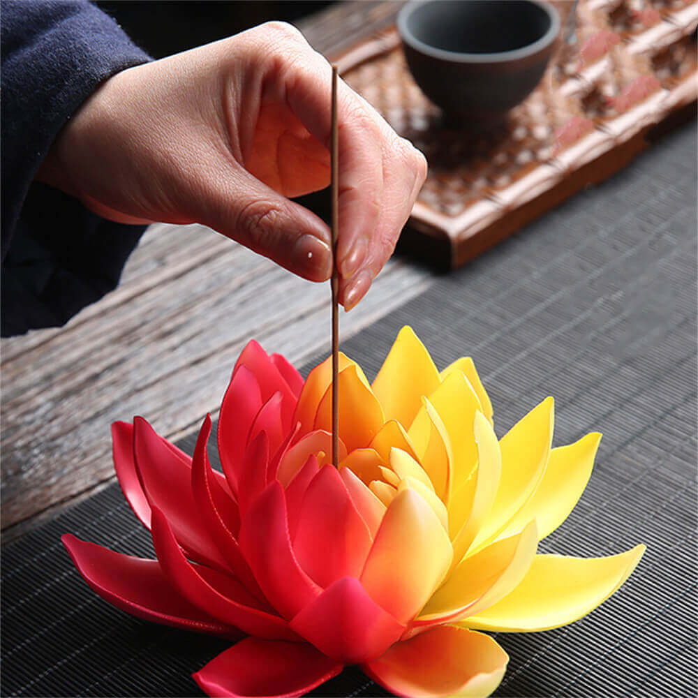 Water Lily Pad