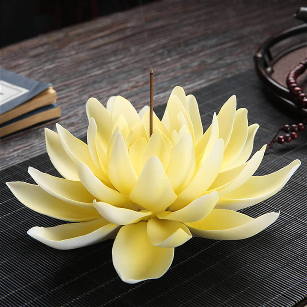 Water Lily Pad