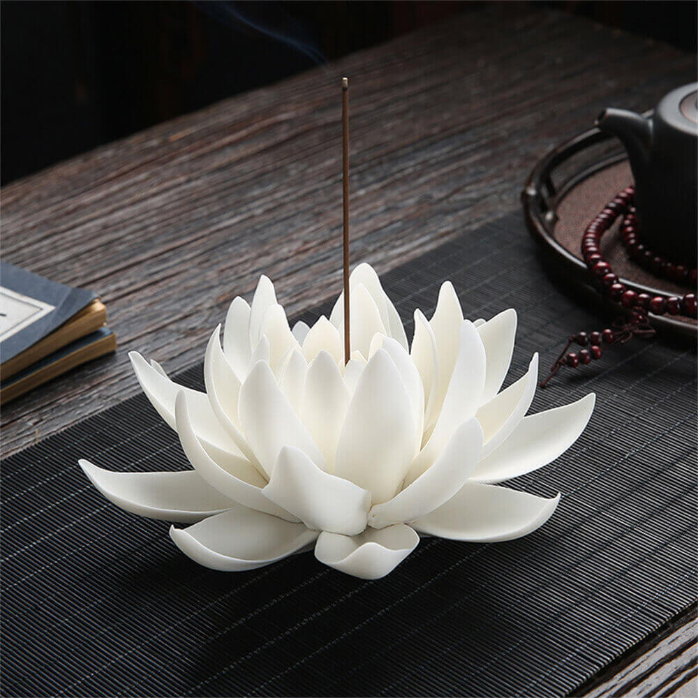 Water Lily Pad