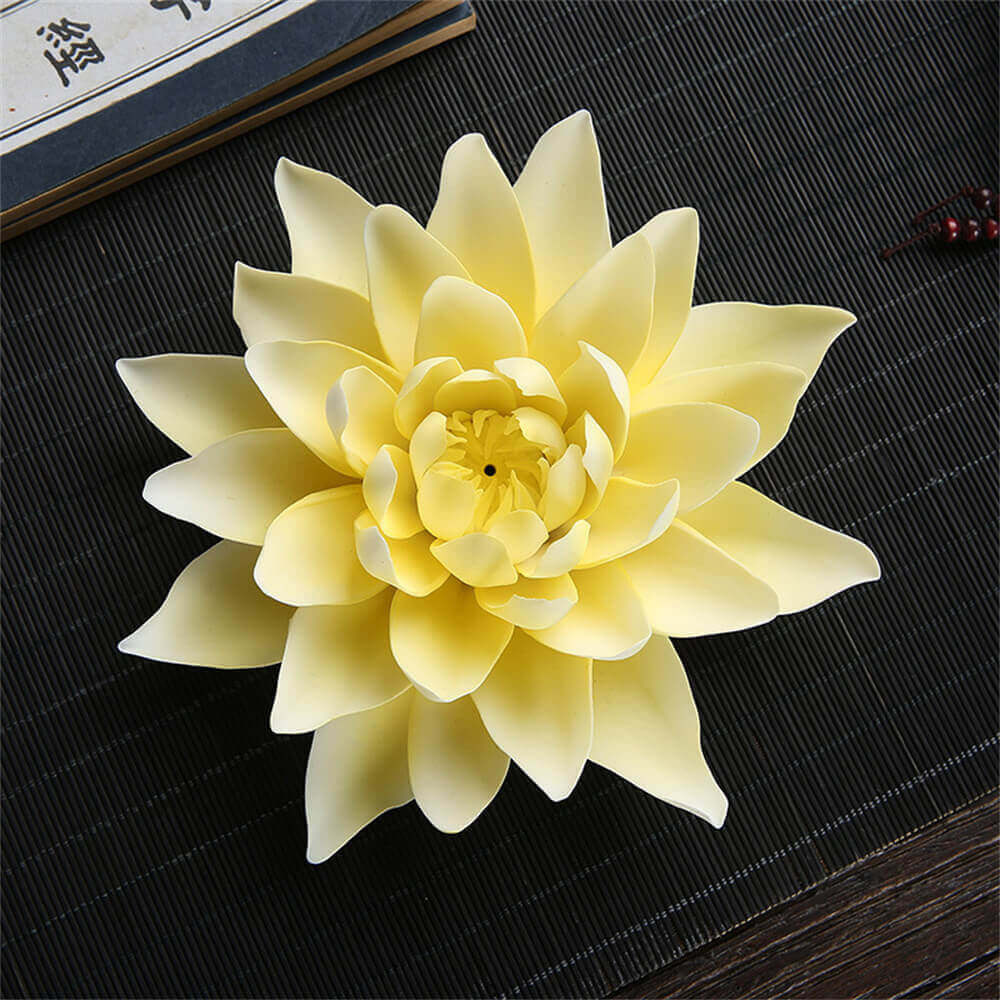 Water Lily Pad