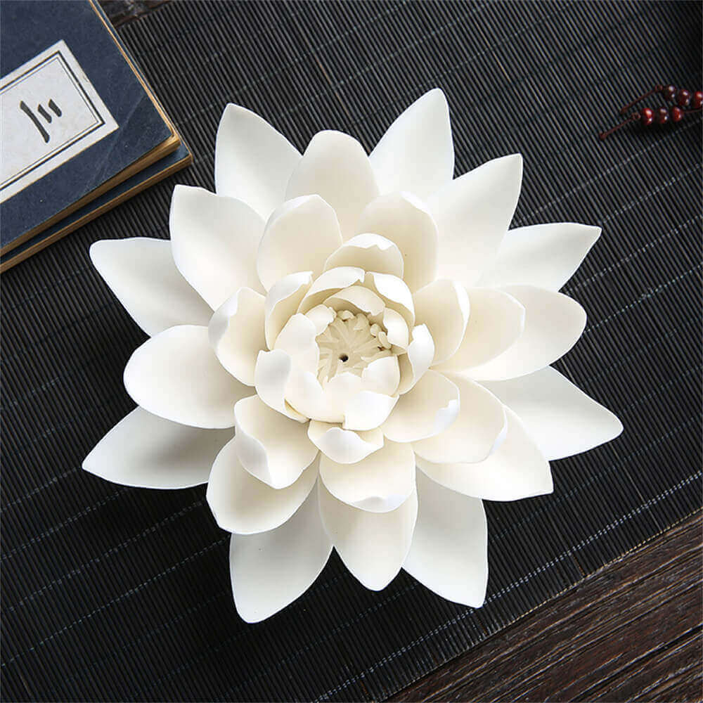 Water Lily Pad