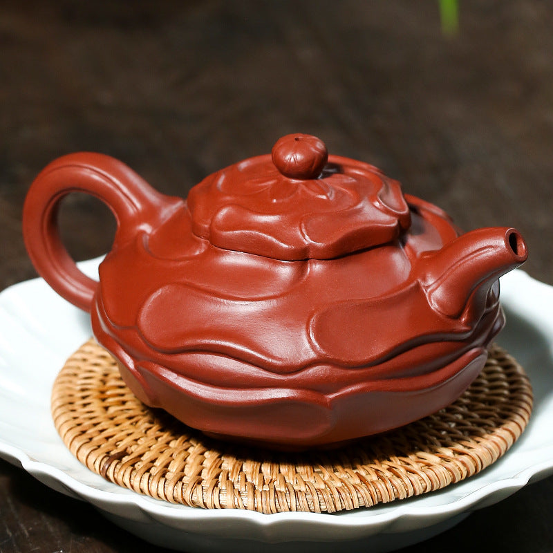 Wind Curled Anemone Teapot