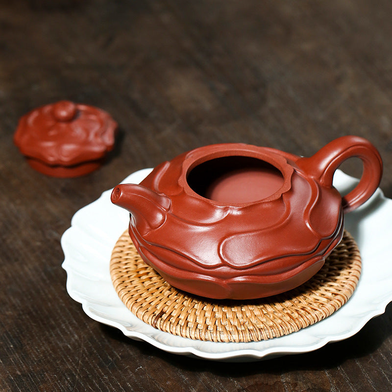 Wind Curled Anemone Teapot